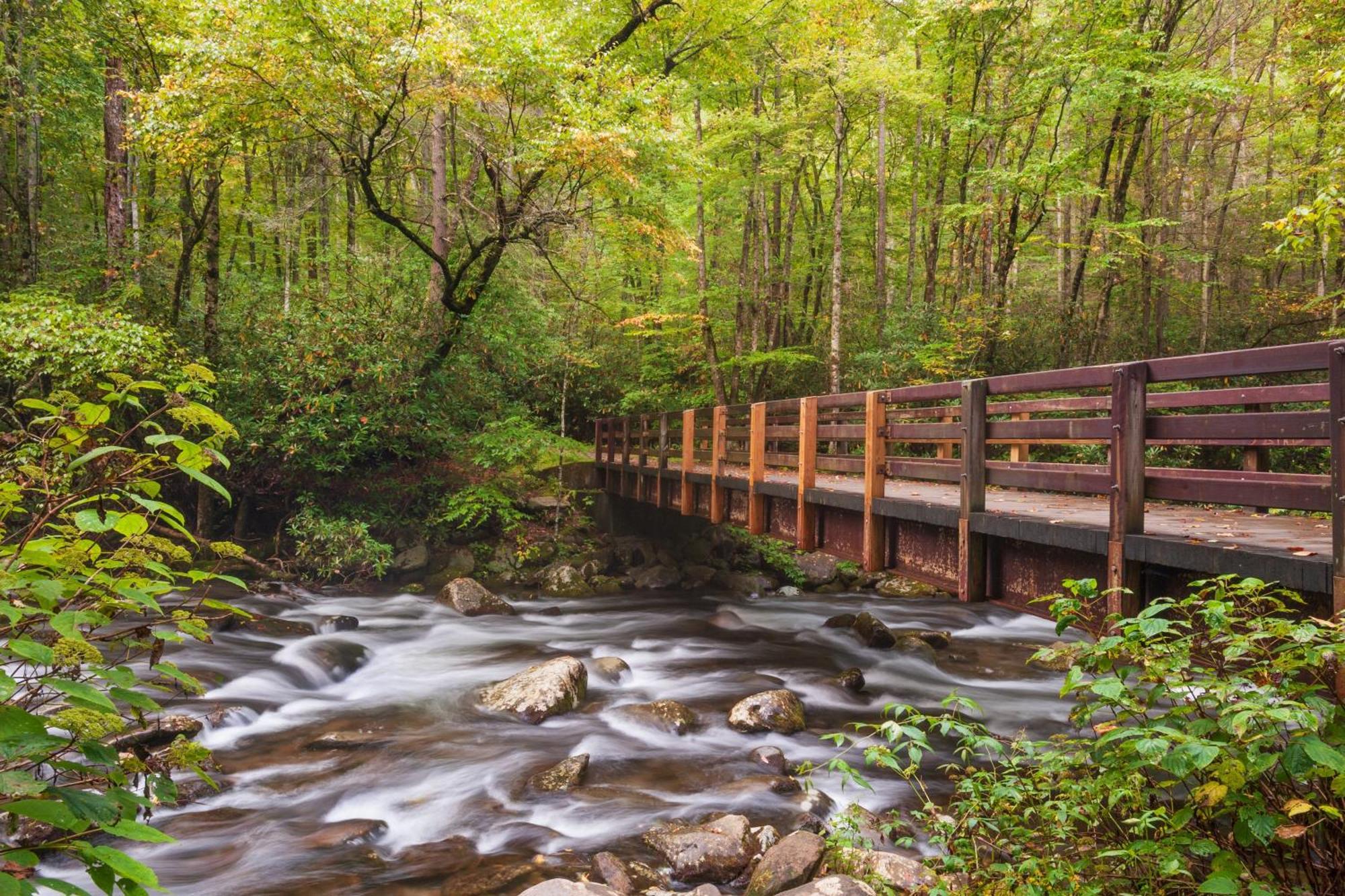 River Song, Near River, Hot Tub, Foosball, Wifi 1089 Free Tickets Each Paid Day, Dollywood And More セバービル エクステリア 写真