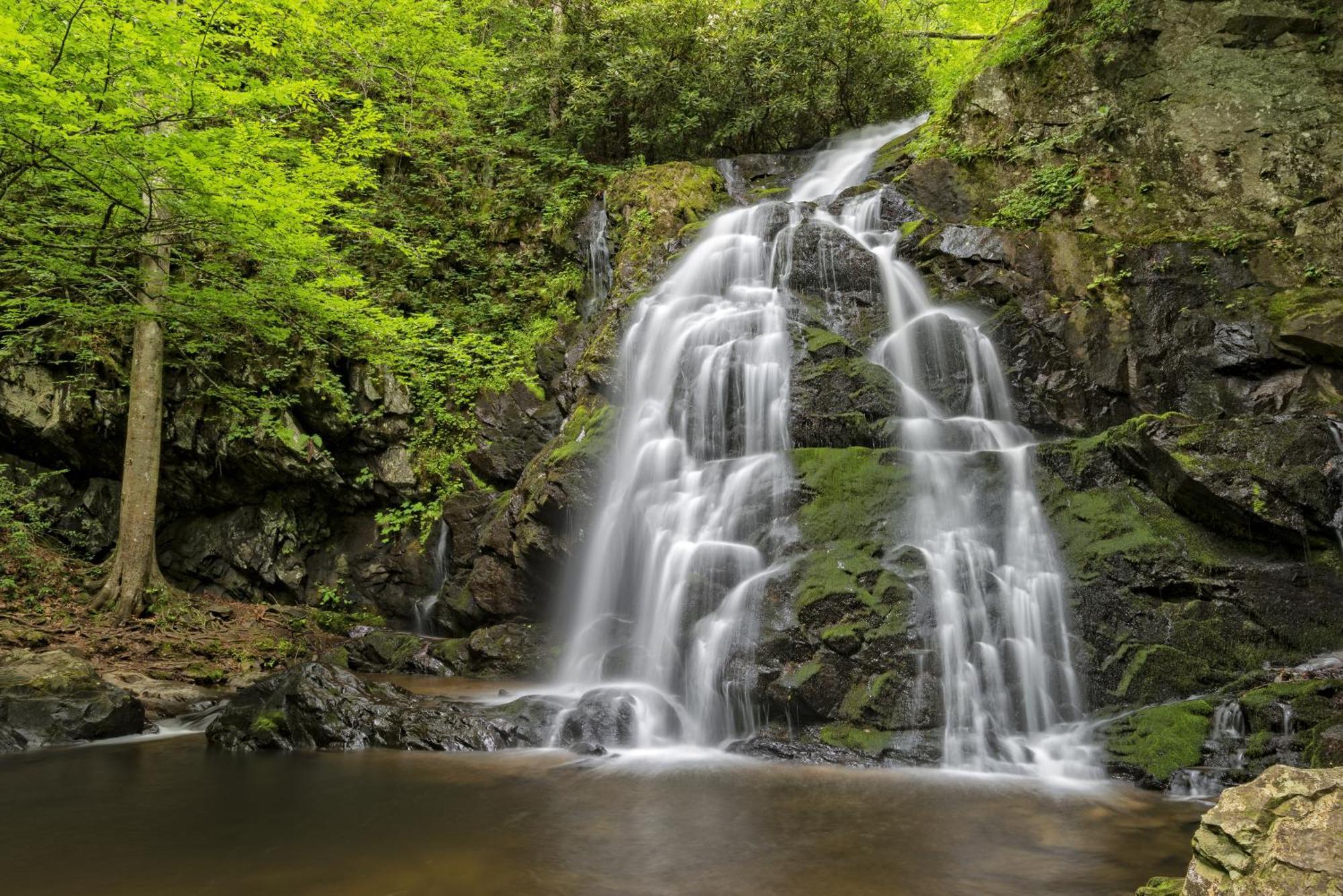 River Song, Near River, Hot Tub, Foosball, Wifi 1089 Free Tickets Each Paid Day, Dollywood And More セバービル エクステリア 写真